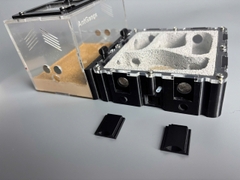 Tổ kiến Model B 20*10 - Tank In3d