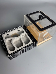 Tổ kiến Model B 20*10 - Tank In3d