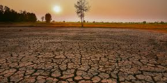 El Nino 2023-2024: Cơn thịnh nộ của khí hậu và cách chúng ta ứng phó