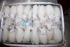 Mực nút Đông lạnh