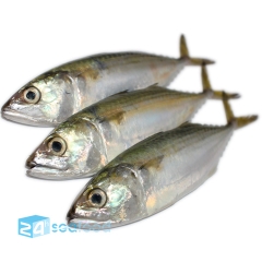 Cá bạc má fillet
