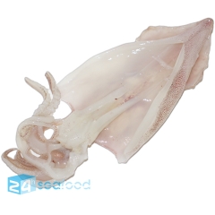 Mực ống xẻ
