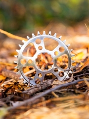 Dĩa Xe Đạp White Industries MR30 TSR 1x Chainrings