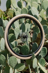 Vỏ Xe Đạp Tomii Cycles x Simworks Faraway Tire (one tire)