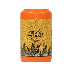 Bình Nước SIMWORKS Earth Gazer Bottle | 26oz