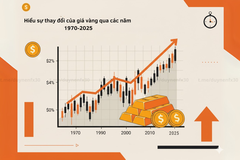 Giá vàng: Hiểu được sự thay đổi giá vàng qua các năm