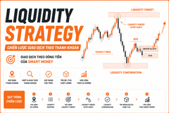 Liquidity Model là gì? Mô Hình Thanh Khoản Trong Smart Money Concepts (SMC)