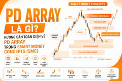 PD Array là gì? Hướng dẫn toàn diện về PD Array 