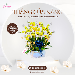 Lan Hồ Điệp - Chậu Trung