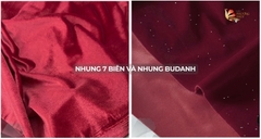 So sánh nhung 7 biên và nhung budanh, gợi ý cách lựa chọn