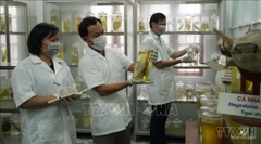 Kết nối chuyên gia, trí thức nhằm tạo động lực phát triển kinh tế biển