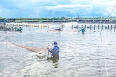 Thạnh Phong tập trung nguồn lực phát triển kinh tế biển