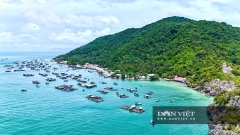Gian nan nghề nuôi cá lồng bè trên xã đảo Hòn Nghệ: Tìm hướng đi bền vững giữa muôn vàn sóng gió