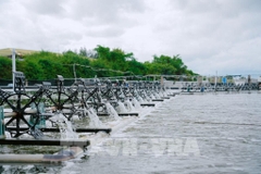 Phát triển kinh tế biển với trụ cột thủy sản và năng lượng xanh