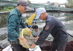 Nuôi trồng thủy sản theo hướng bền vững