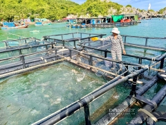 An Giang nghiên cứu xây dựng làng nuôi biển hiện đại