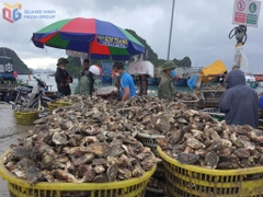 Giảm áp lực lên biển từ khâu chế biến thuỷ sản