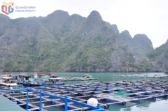 Khai thác du lịch gắn với nuôi trồng thủy sản tại Vân Đồn