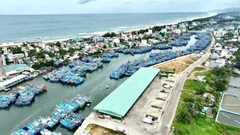 Hỗ trợ sinh kế cho ngư dân, phát triển kinh tế biển bền vững