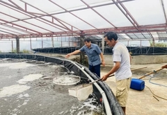 Tân Tiến bứt phá với nuôi trồng thủy sản công nghệ cao, nhiều mô hình thu lãi tiền tỷ mỗi năm