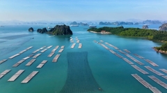 Sự cần thiết sửa đổi toàn diện Luật Tài nguyên, Môi trường biển và hải đảo