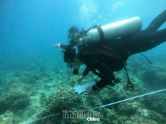 Bảo vệ hệ sinh thái biển