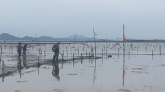 Kéo mỏ neo tháo dỡ công trình nuôi trồng thủy sản trái phép ở Quảng Hà, Quảng Ninh