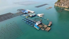 Hơn 250 gian hàng công nghệ dự kiến hội tụ tại triển lãm quốc tế chuyên ngành nuôi biển công nghiệp