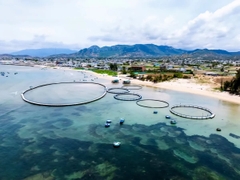 Xây dựng quốc gia biển mạnh: Khơi thông nguồn lực, tạo động lực mới