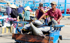 Lợi thế biển và nỗi niềm chưa giàu từ biển