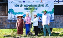 Trồng 6.000 cây ngập mặn ven đầm phá Cầu Hai