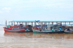 Khai thác biển giảm, nuôi tôm công nghệ cao tăng mạnh