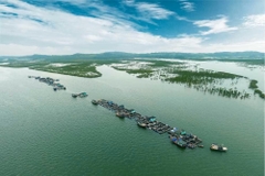 Quảng Ninh đề xuất mở rộng không gian nuôi biển lên gần 140.000 ha