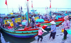 Hà Tĩnh: Nuôi trồng thủy sản đạt hơn 410 tỷ đồng sau 7 tháng, tôm công nghệ cao dẫn dắt tăng trưởng