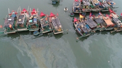 Đừng chỉ bảo vệ biển trước những gì mắt ta nhìn thấy