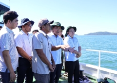 Khảo sát vùng biển nuôi trồng thủy sản, tìm giải pháp phát triển bền vững