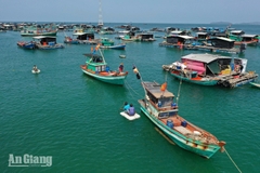 An Giang khơi thông nguồn lực, phát triển nuôi biển công nghệ cao