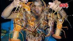 Lặn Biển Bắt Tôm Hùm Ở Độ Sâu 20 Mét Lúc Nửa Đêm