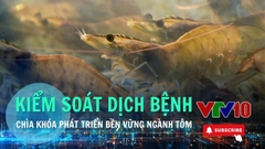 Ngành tôm tìm hướng đi mới trước áp lực môi trường | VTV10 - Đài Truyền hình Việt Nam