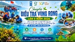 ĐIỀU TRA VÙNG RONG LẦN II NĂM 2026