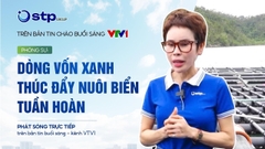Dòng vốn xanh cho nuôi biển tuần hoàn Từ thí điểm đến mở rộng quy mô