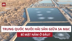 KỲ TÍCH từ sa mạc thành 