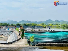Xây dựng bản đồ số vùng nuôi trồng thủy sản