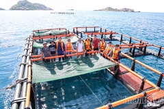 Để tăng hiệu quả nuôi biển công nghệ cao