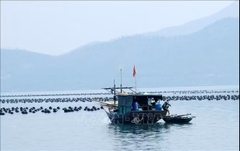 Quảng Ninh: Gỡ vướng giao mặt nước, thúc đẩy nuôi biển
