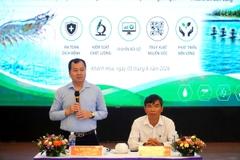Gỡ điểm nghẽn cho ngành tôm nước lợ