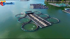Hướng mở phát triển kinh tế thuỷ sản của Cẩm Phả