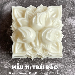 Khuôn Nhựa RCVT - RT11 - VUÔNG Nụ Đào 3c