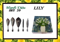 Kim 3D Inox - Bộ 5 - Mẫu 39 Hoa Lily