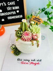 Khuôn Silicon - Hoa Cúc Tây - Cánh Thẳng - 7.8cm